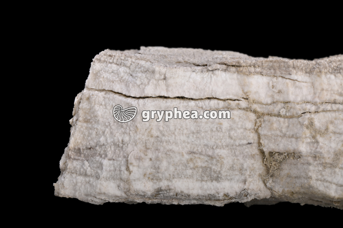 Gypse - détail (Col du Galibier, Alpes) - gryphea.com